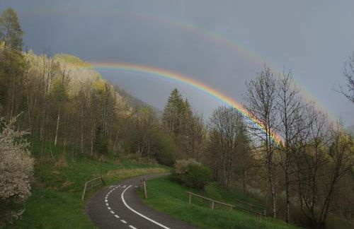 Ciasa Erna - Photo 18