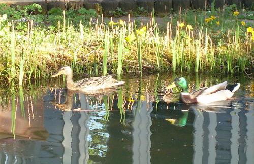 Ferienwohnung im Gartenparadies - Foto 39
