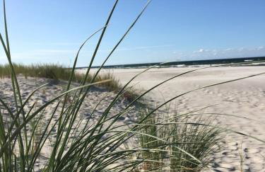 Dom Majówka i Apartamenty Bartoszówka i Michałówka - Foto 10