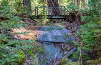 Cecil's Cabin - Foto 21