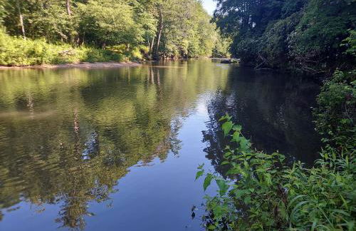 Two Rivers Cabins - The Mountaintop - Foto 18