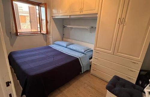 La flabellina blu - Foto 4