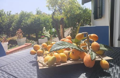 Duplex House - Foto 47