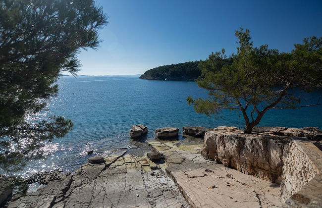 Olive Eden - Foto 21