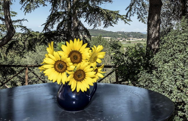 Castello Monticelli - Foto 25