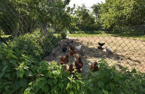Ferienhaus vor den Toren der Insel Poel - Foto 64