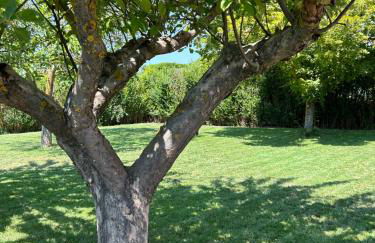 Casa La Rosada - Foto 16