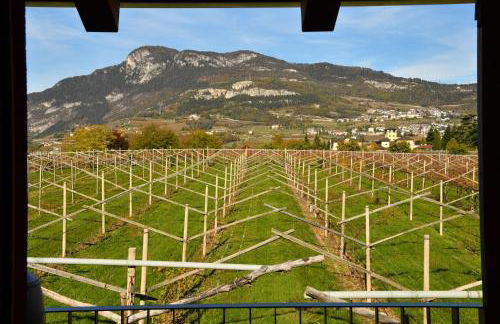 8 Grappoli Agritur - Foto 56