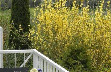 Ferienwohnung-Mary-Poppins-mit-Balkon-zwischen-Strand-Wald-Wiese-im-Suedosten-der-Insel-Ruegen - Foto 20