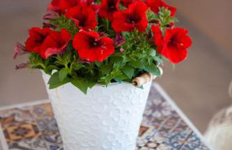 John Apartments - Foto 34