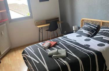 Au cœur du centre ville avec parking privé balcon et wifi - Foto 7