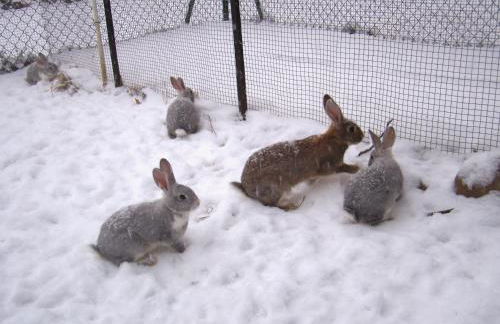 Casa Rural Basajarau - Photo 35