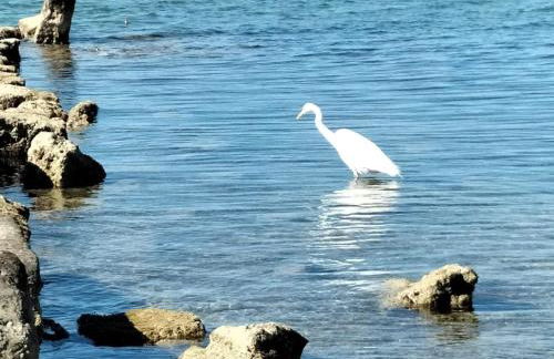 Charming House in Marsala with Private Garden - Foto 49