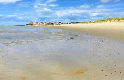 Petite Opale - Foto 21