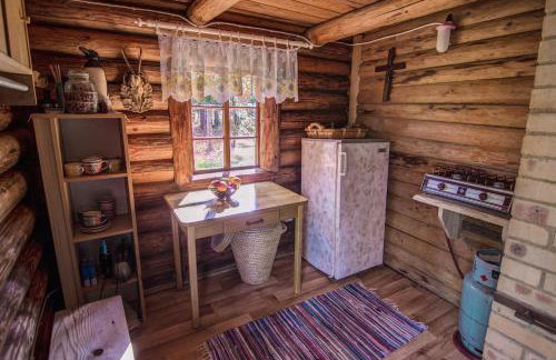 Chatka w lesie - Foto 21