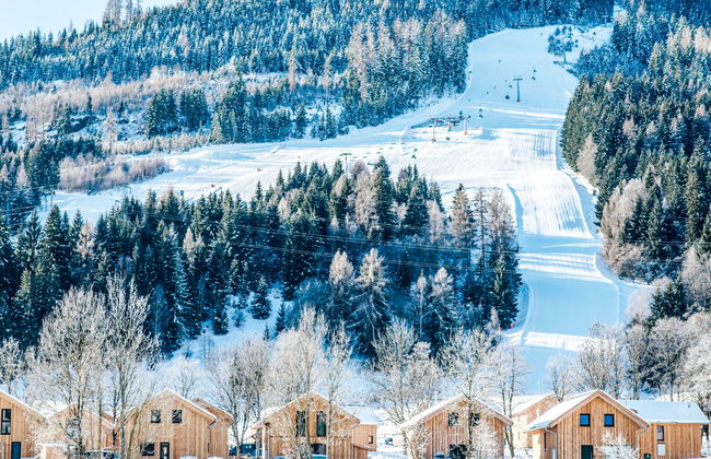 mit 4 SZ,Sauna o.IR-Sauna+Sprudelbad - Foto 23