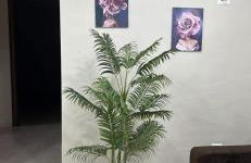 Sogno vesuviano - Photo 36