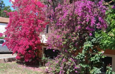 Paulina's House - Foto 21