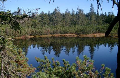 Ferienwohnung Dachs - Foto 35