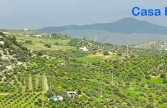 Casa Bonela Vista - Foto 42