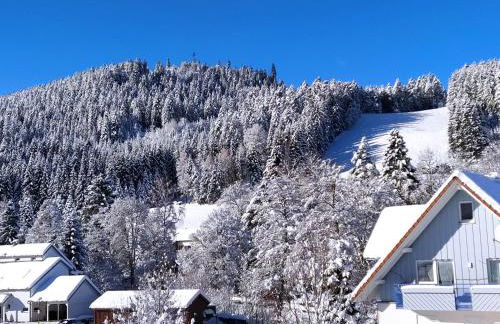 Ferienwohnung, Sauna & Gästekarte gratis im Schwarzwald - Photo 36