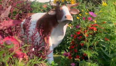 Pilars Fischwerk - Foto 5, Garden, Garden view