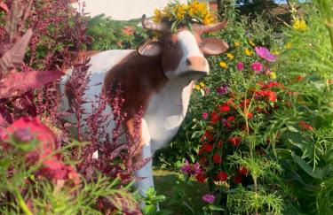 Pilars Fischwerk - Foto 5