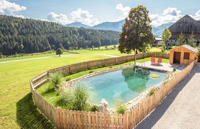 Grimmingblickhütte - Foto 4