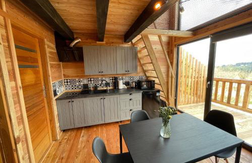 Modrzewiowe Domki w Koszarawie - Foto 3