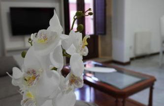 Duplex Llume - Grupo Apartamentos Sanin - Foto 10