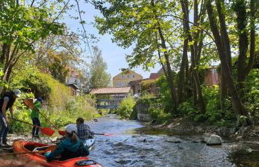Ferienwohnungen am Schwanensee - Foto 21