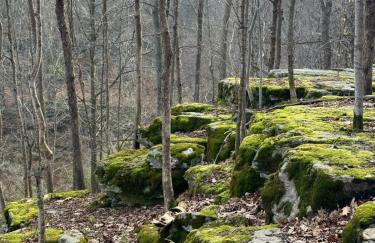 Paradise Island escape Riverfront in Clay, NY - Foto 31