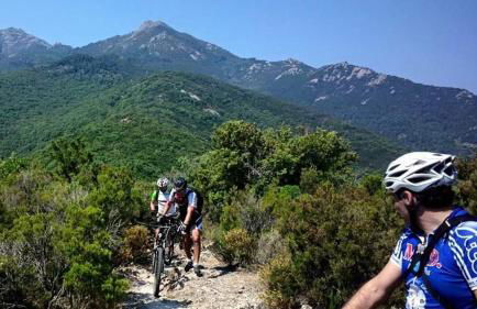 Casa vacanze il Pastore Tedesco - Foto 38