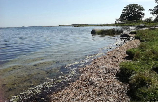 6 Person Holiday Home in Kettinge - Foto 50