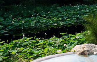 Relais La Foleia - Luxury Villa with private lake - Foto 46