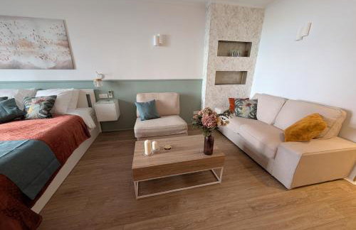 Luxury studio next to beaches and old town Antibes - Foto 30