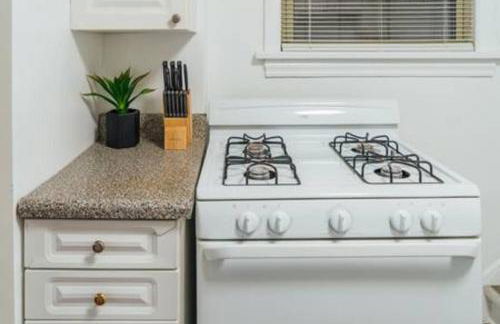 Calm & Well-Equipped 2BR Chicago Apartment - Central Cozy - Foto 38