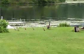 Serenity on Lamoka - Foto 10