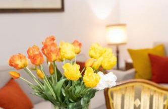 Ca' Spadoni, centro storico, piano terra, ingresso indipendente, teatro, parcheggio, - Foto 29