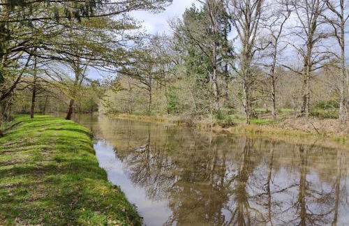 Charnay Sologne - Calme Charme Clim et Confort Piscine à 5 mn du péage Vierzon centre A71 - Foto 79