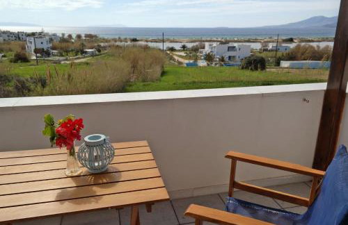 Dina's Diamond - Foto 15