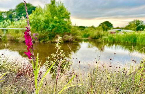 Rabbit Meadow Lodge - Sleeps up to 4 people - Foto 32