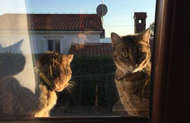 Val 2 - Foto 31