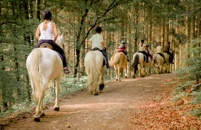 Nengshof - Haus Ehrenpreis - Foto 13