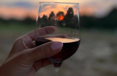 Domek do wynajęcia - Siedlisko przy lesie - Foto 25