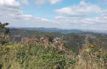 Hochwald Balkon - Foto 38