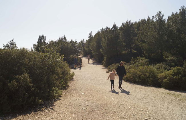 Senderismo por las calanques de Saint-Jean de Dieu, Sugiton, Morgiou o Sormiou - Foto 5