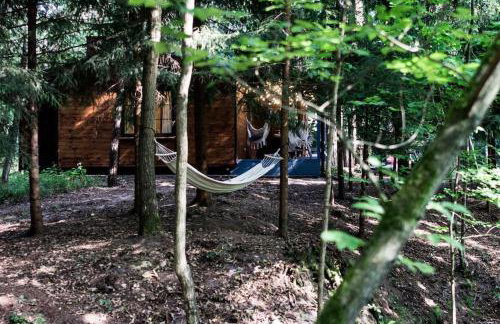 Sosnowy Strumyk - Foto 28