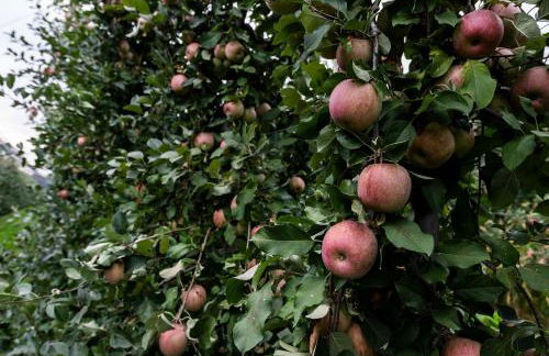 Hotel Agriturismo Al Luogo Del Giulio - Foto 95