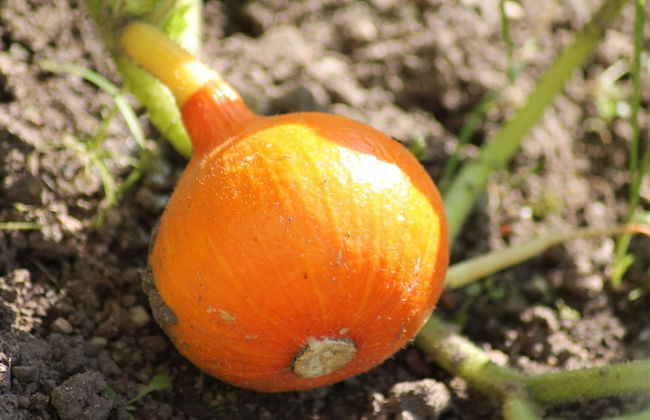 Zweedorf Salzhaff View Retreat - Foto 14